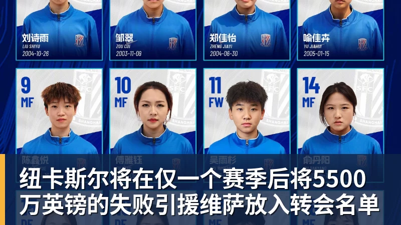 纽卡斯尔将在仅一个赛季后将5500万英镑的失败引援维萨放入转会名单 - 米兰体育 - 米兰MIlAN(中国)