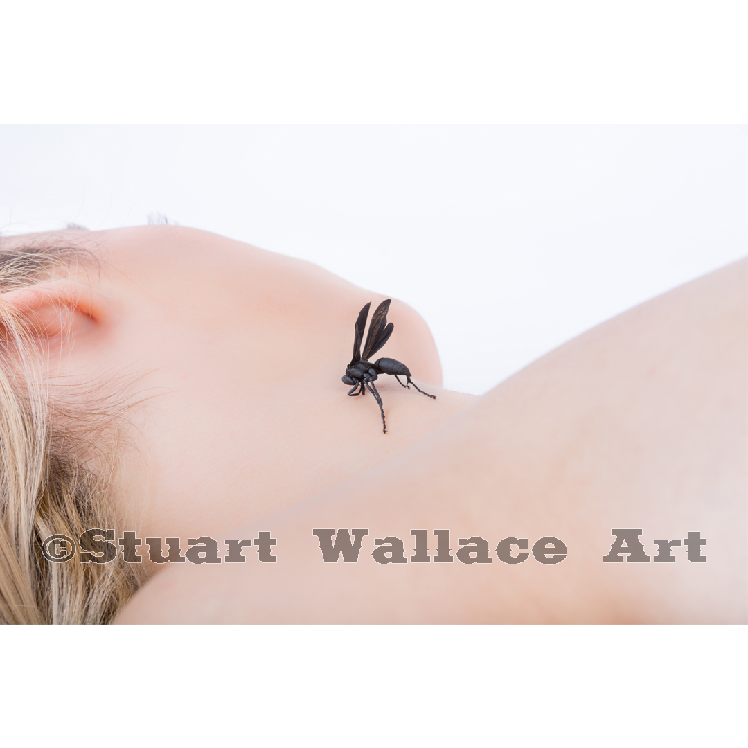 41 WM 750: Black Wasp On Neck