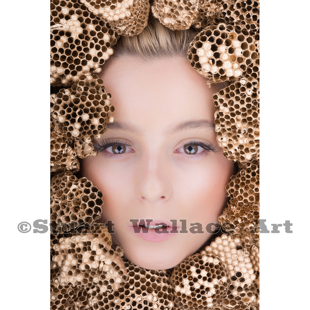 41 WM 888: Woman’s Face Surrounded by Golden Wasp Nests